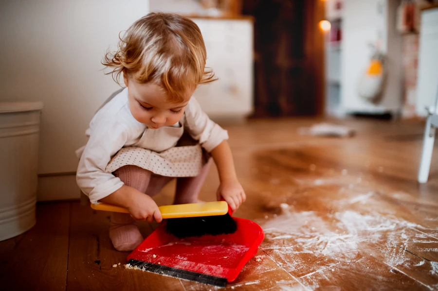 Professional House Clean Out Charlotte, NC